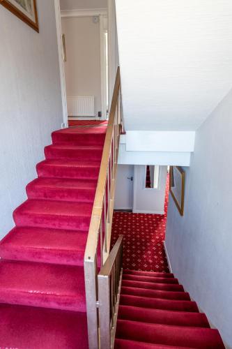 a red carpeted staircase in a building with red carpet at Coral Gables Guesthouse & Campsite in Rosslare