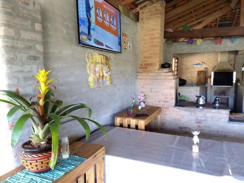 a kitchen with a potted plant on top of a counter at Pousada & Pesca Esportiva Fazolin in Socorro