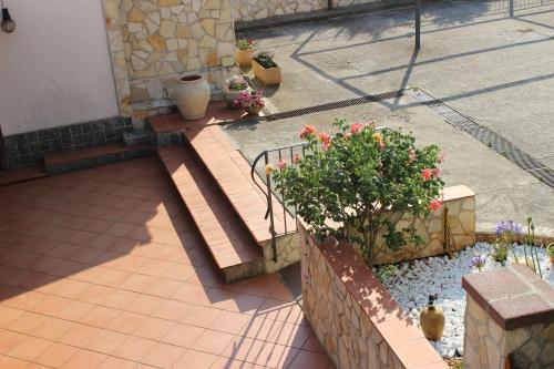 an overhead view of a patio with some flowers at B&B La Vigna in Lamezia Terme
