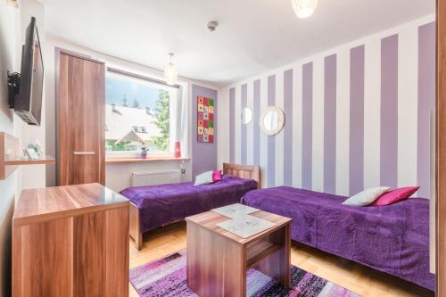 a living room with purple beds and a window at Pokoje Goscinne Oliwia & Laura II in Rumia