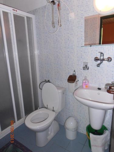 a bathroom with a toilet and a sink at Zelený Dom in Bojnice