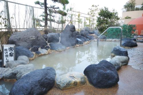 ein Wasserbecken mit Steinen in einem Zoo in der Unterkunft SPA&HOTEL EURASIA MAIHAMA Closed the public Spa area in Urayasu