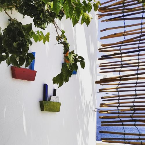 Κήπος έξω από το Plori House