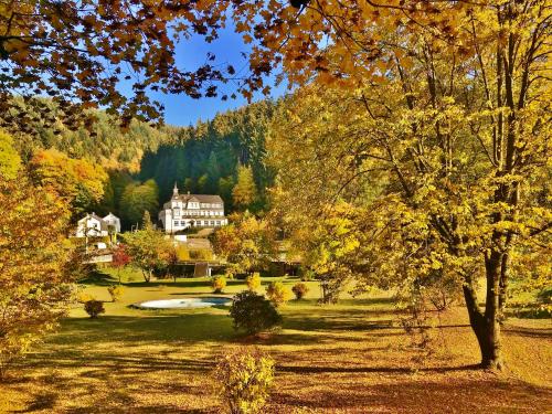 uitzicht op een park met een huis op de achtergrond bij Flair-Hotel Waldfrieden in Meuselbach-Schwarzmühle