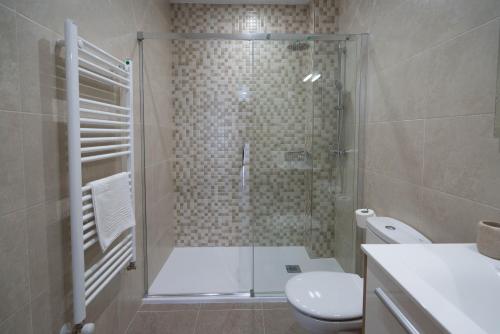 a bathroom with a shower with a toilet and a sink at La Fontina de Luarca in Luarca