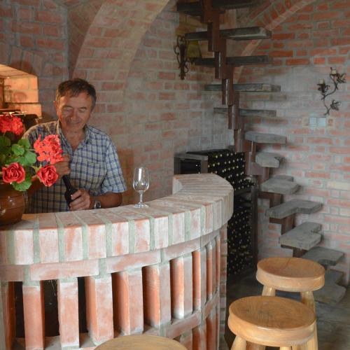 a man standing at a bar with a glass of wine at Vinum Vidae in Lendava