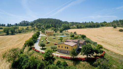 Biscina