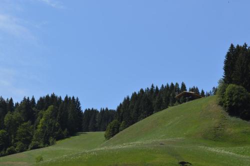 a green hill with a house on top of it at Appartement Tiefenbrunn in Auffach