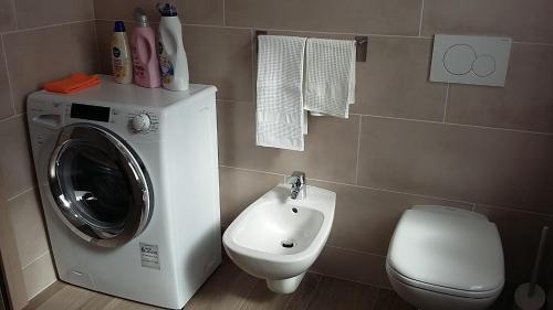 モルヴェーノにあるChalet La Perla Molvenoのバスルーム(洗濯機、トイレ付)