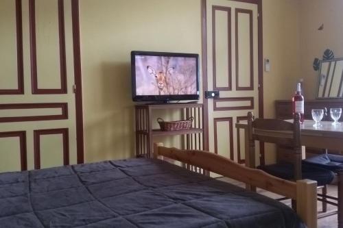 une chambre avec un lit et une télévision dans une pièce dans l'établissement ESCALE, à Vals-les-Bains
