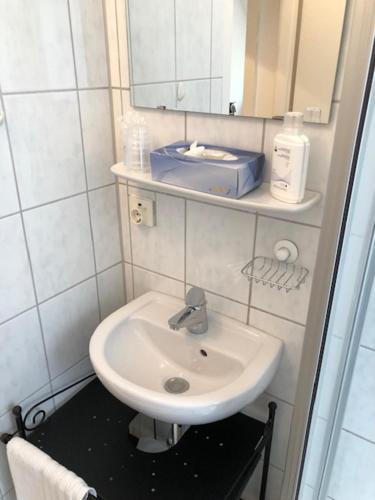 Appartement Leon tesisinde bir banyo