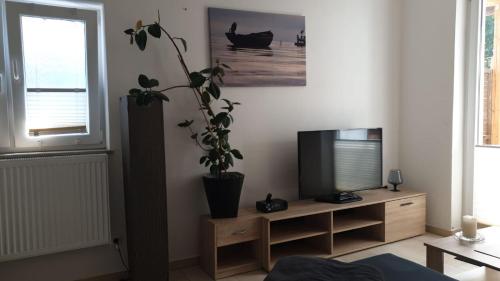En TV eller et underholdningssystem på Apartment Sylvia