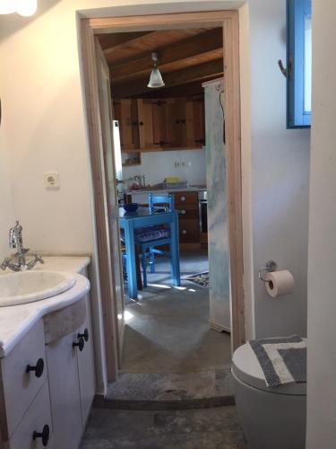 a bathroom with a sink and a toilet in a room at Villa Antonia in Almirida