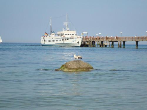 a bird sitting on a rock in the water with a boat at Ferienhaus Norway in Wittenbeck