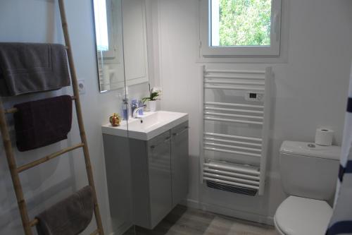 ein Bad mit einem Waschbecken, einem WC und einem Fenster in der Unterkunft côté chêne in Puycornet