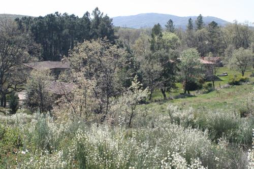 a view of a field of flowers and trees at Casa Rural Los Robles in Acebo