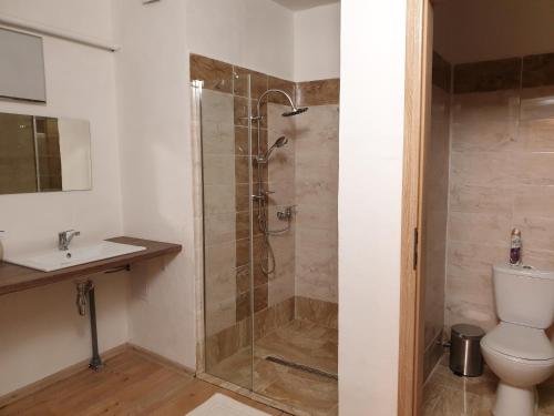 een badkamer met een douche, een toilet en een wastafel bij Apartmán 33 in Teplice nad Metují