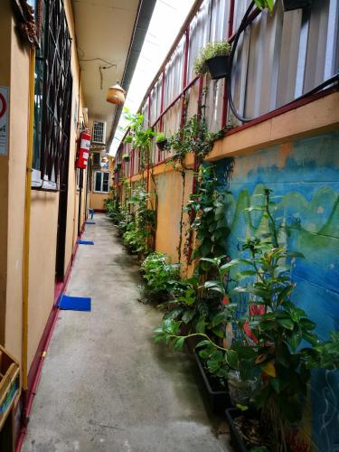 a hallway with plants on the side of a building at Jimmy and Jeng Homestay in Chiang Mai