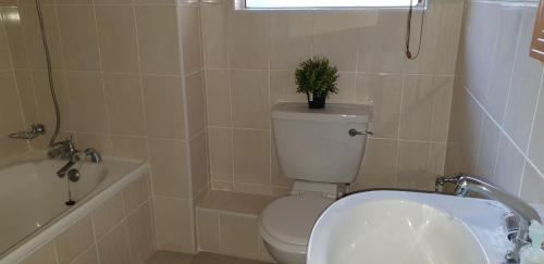 a bathroom with a toilet and a plant on top of it at Ramsgate Palms Unit 20 in Ramsgate