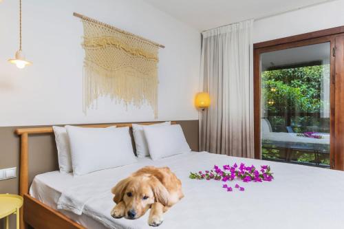a dog laying on a bed in a bedroom at Faros Bodrum Hotel - Special Category in Golturkbuku