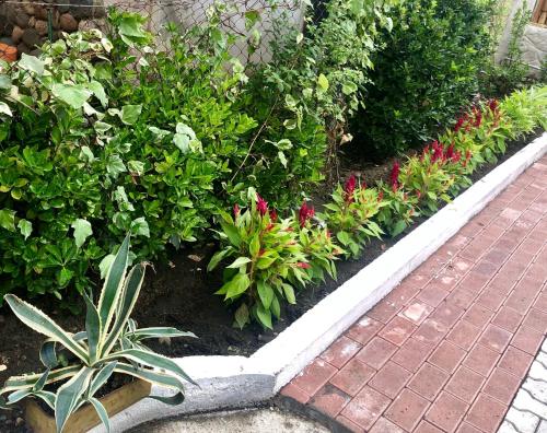 Gallery image of Hotel Ritsa in Ureki