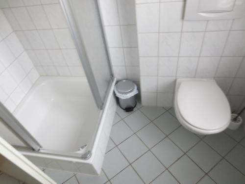 a small bathroom with a toilet and a shower at Möwenhaus in Wangerland