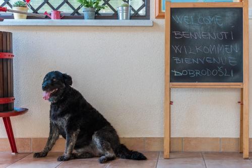 a black dog sitting in front of a chalkboard at B&B Carmela in Umag