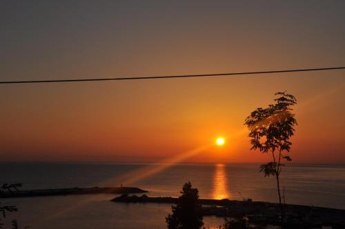 a sunset over the ocean with a tree in the foreground at Panaroma Damla Otel in Samsun