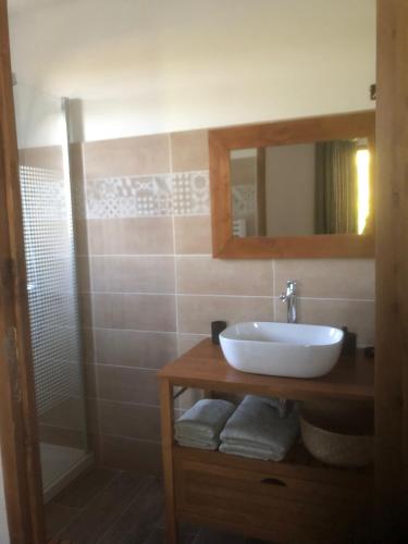 une salle de bain avec un lavabo et une douche dans l'établissement La Clémence, à Mollans-sur-Ouvèze