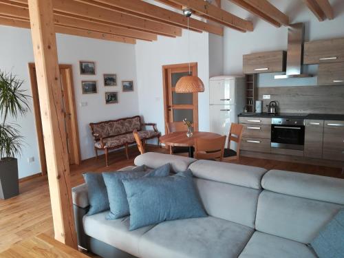 Kuchyň nebo kuchyňský kout v ubytování Apartmány U Holubů