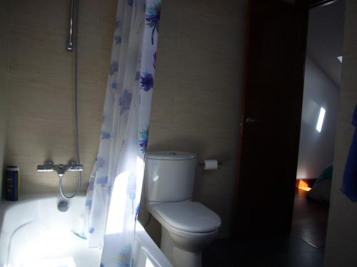 ボルターニャにあるLa Morada del Sobrarbeのトイレとシャワーカーテン付きのバスルーム
