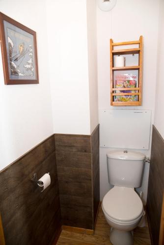 une salle de bain avec toilettes et un tableau au mur dans l'établissement Marmottin1, à Puy-Saint-Vincent