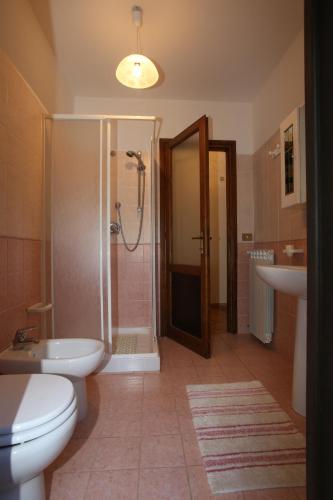 a bathroom with a shower and a toilet and a sink at La viola in Bomarzo