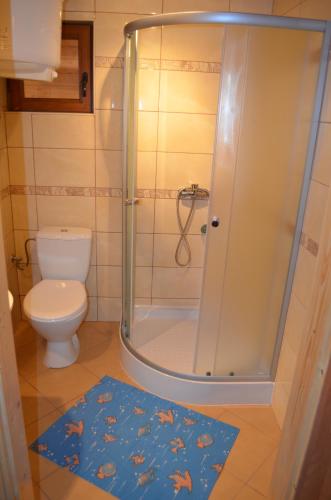 łazienka z prysznicem, toaletą i dywanem w obiekcie Zacisze pod Laskiem w Karwieńskim Błocie
