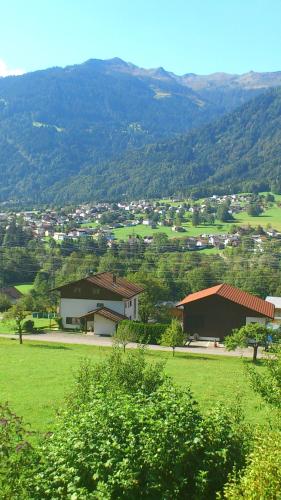 a house in a green field with mountains in the background at Appartment Gertrud Flatz in Sankt Anton im Montafon