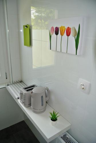 a kitchen counter with a toaster and tulips paintings at B12 Apartment Budapest in Budapest