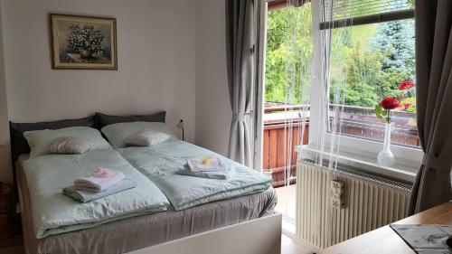 Katil atau katil-katil dalam bilik di APARTMA SVETINA