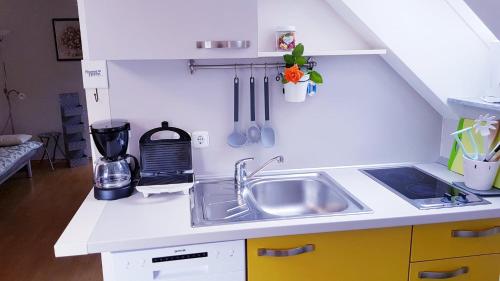 Dapur atau dapur kecil di APARTMA SVETINA