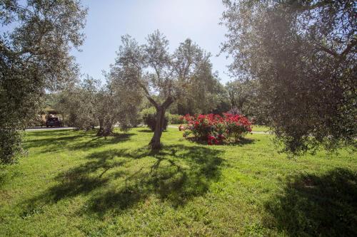 Gallery image of Agriturismo La Sosta di Annibale in Tuoro sul Trasimeno