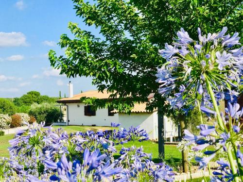 Κήπος έξω από το La collina delle fonti