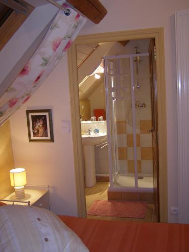 a bedroom with a bathroom with a shower and a bed at Grange de la Herde in Camon