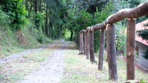 Φωτογραφία από το άλμπουμ του La casa del bosco σε Πέσια