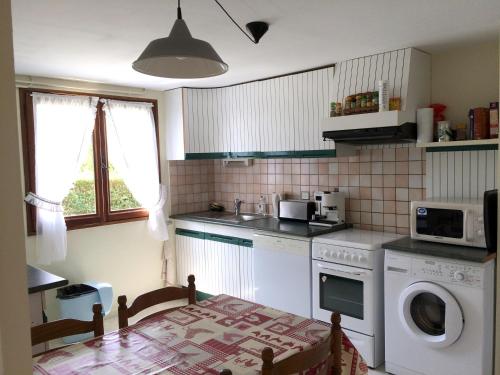 une cuisine avec un lave-linge et un micro-ondes dans l'établissement Appartement dans villa accès privé au lac, à Veyrier-du-Lac