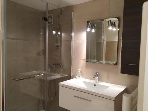 une salle de bain avec une douche, un lavabo et un miroir dans l'établissement Appartement dans villa accès privé au lac, à Veyrier-du-Lac
