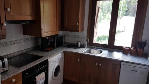 una cucina con lavello e lavatrice di Family Duplex Esterri a Esterri d'Àneu