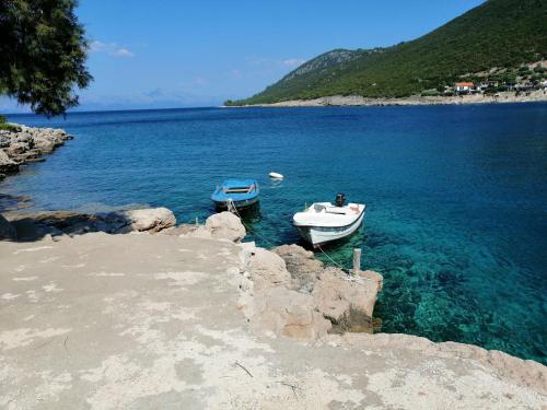 Φυσικό τοπίο κοντά σε αυτό το διαμέρισμα