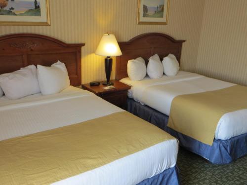 a hotel room with two beds and a lamp at Baymont by Wyndham Kalamazoo West in Kalamazoo