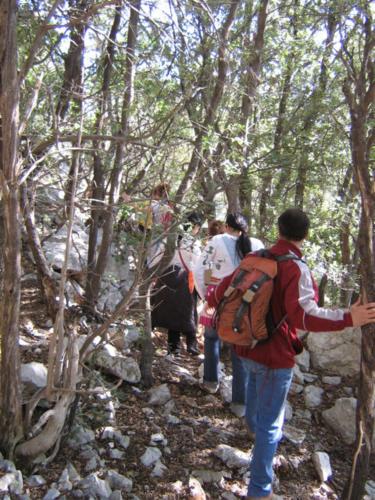 a group of people walking in the woods at Agriturismo Didone in Dorgali