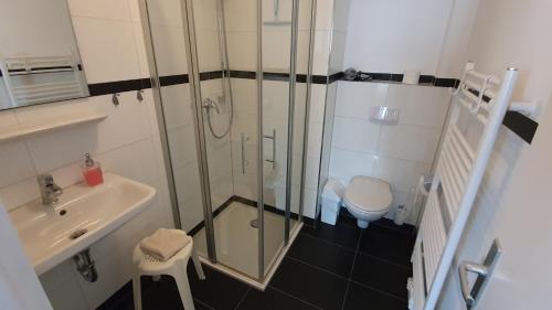 a bathroom with a shower and a sink and a toilet at Hotel Stadt Magdeburg in Perleberg