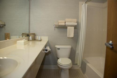 a bathroom with a toilet and a sink and a shower at All Seasons Resort in Kalkaska